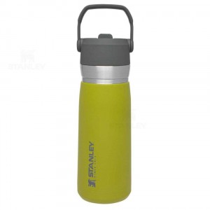 Stanley The Go Flip Straw | 22 OZ Tumblers | Australia S1342
