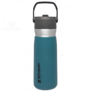 Stanley The Go Flip Straw | 22 OZ Tumblers | Australia S1740