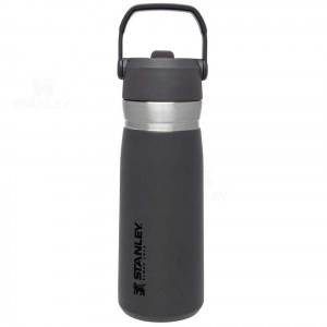 Stanley The Go Flip Straw | 22 OZ Tumblers | Australia S1847