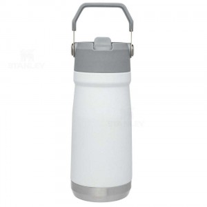 Stanley The IceFlow Flip Straw | 17 OZ Tumblers | Australia S2175