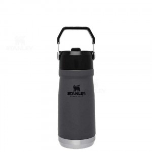 Stanley The IceFlow Flip Straw | 17 OZ Tumblers | Australia S1670