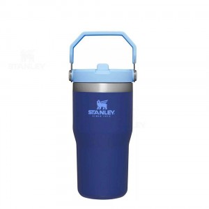 Stanley The IceFlow Flip Straw | 20 OZ Tumblers | Australia S1359