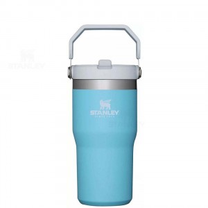 Stanley The IceFlow Flip Straw | 20 OZ Tumblers | Australia S1135