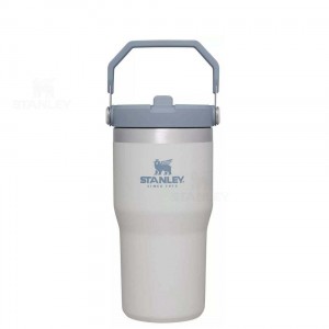 Stanley The IceFlow Flip Straw | 20 OZ Tumblers | Australia S1696