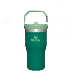 Stanley The IceFlow Flip Straw | 20 OZ Tumblers | Australia S1209