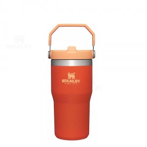 Stanley The IceFlow Flip Straw | 20 OZ Tumblers | Australia S1478