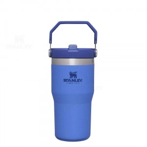 Stanley The IceFlow Flip Straw | 20 OZ Tumblers | Australia S1593