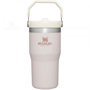 Stanley The IceFlow Flip Straw | 20 OZ Tumblers | Australia S1328