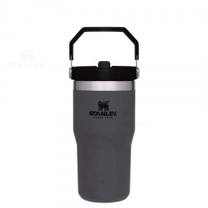 Stanley The IceFlow Flip Straw | 20 OZ Tumblers | Australia S1291