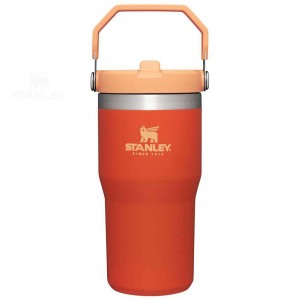 Stanley The IceFlow Flip Straw | 20 OZ Tumblers | Australia S2201