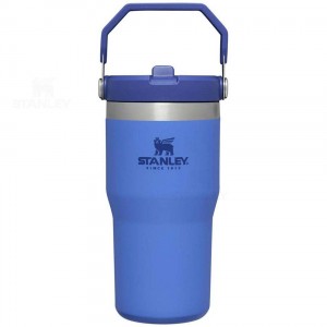 Stanley The IceFlow Flip Straw | 20 OZ Tumblers | Australia S1121