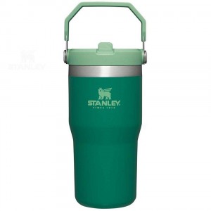 Stanley The IceFlow Flip Straw | 20 OZ Tumblers | Australia S1272