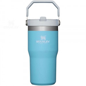 Stanley The IceFlow Flip Straw | 20 OZ Tumblers | Australia S1555