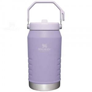 Stanley The IceFlow Flip Straw | 64 OZ Jugs | Australia S1983