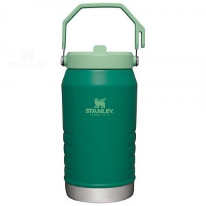 Stanley The IceFlow Flip Straw | 64 OZ Jugs | Australia S2133