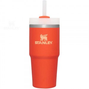 Stanley The Quencher H2.0 FlowState™ 14 OZ | Australia S2017
