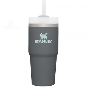 Stanley The Quencher H2.0 FlowState™ 14 OZ | Australia S1901