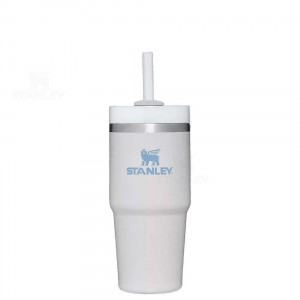 Stanley The Quencher H2.0 FlowState™ 14 OZ | Australia S2099