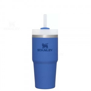 Stanley The Quencher H2.0 FlowState™ 14 OZ | Australia S1257