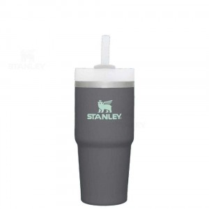 Stanley The Quencher H2.0 FlowState™ 14 OZ | Australia S1236