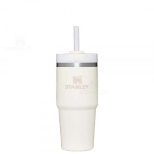 Stanley The Quencher H2.0 FlowState™ 14 OZ | Australia S1825