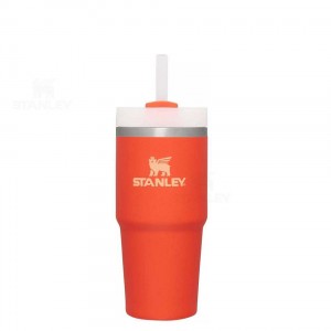 Stanley The Quencher H2.0 FlowState™ 14 OZ | Australia S1256