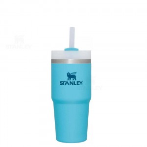 Stanley The Quencher H2.0 FlowState™ 14 OZ | Australia S1419