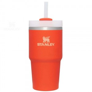 Stanley The Quencher H2.0 FlowState™ 20 OZ | Australia S1978