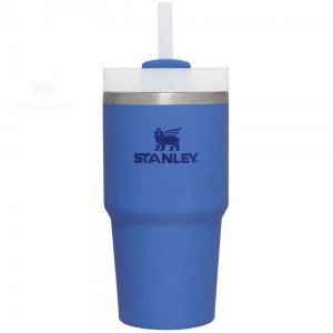 Stanley The Quencher H2.0 FlowState™ 20 OZ | Australia S2303