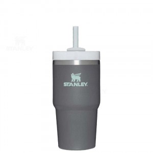 Stanley The Quencher H2.0 FlowState™ 20 OZ | Australia S1307