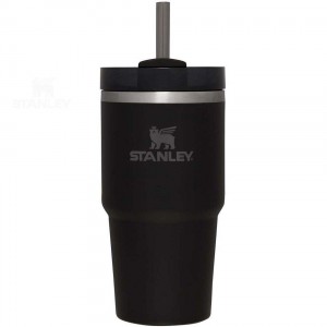 Stanley The Quencher H2.0 FlowState™ 20 OZ | Australia S2215