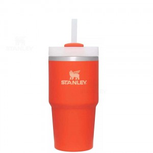 Stanley The Quencher H2.0 FlowState™ 20 OZ | Australia S1573