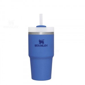 Stanley The Quencher H2.0 FlowState™ 20 OZ | Australia S1204