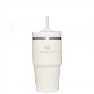 Stanley The Quencher H2.0 FlowState™ 20 OZ | Australia S1681