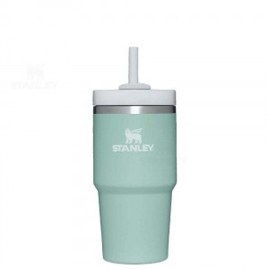 Stanley The Quencher H2.0 FlowState™ 20 OZ | Australia S2390