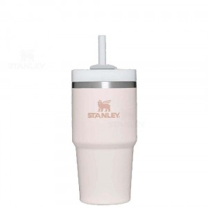 Stanley The Quencher H2.0 FlowState™ 20 OZ | Australia S1325