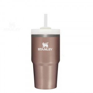 Stanley The Quencher H2.0 FlowState™ 20 OZ | Australia S1815