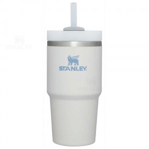 Stanley The Quencher H2.0 FlowState™ 20 OZ | Australia S1315
