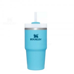 Stanley The Quencher H2.0 FlowState™ 20 OZ | Australia S1566