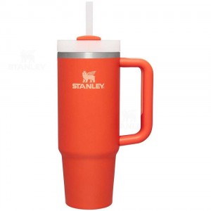 Stanley The Quencher H2.0 FlowState™ 30 OZ | Australia S1244