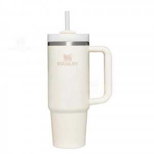 Stanley The Quencher H2.0 FlowState™ 30 OZ | Australia S1850