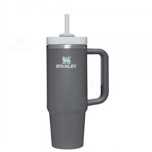 Stanley The Quencher H2.0 FlowState™ 30 OZ | Australia S2251