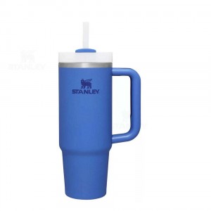 Stanley The Quencher H2.0 FlowState™ 30 OZ | Australia S2299