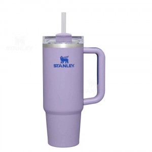 Stanley The Quencher H2.0 FlowState™ 30 OZ | Australia S1865