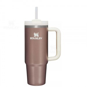 Stanley The Quencher H2.0 FlowState™ 30 OZ | Australia S1491