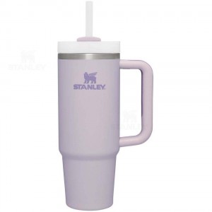 Stanley The Quencher H2.0 FlowState™ (Soft Matte) 30 OZ | Australia S1278